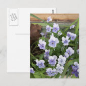 Mini Paarse Violets Flowers Briefkaart (Voorkant / Achterkant)