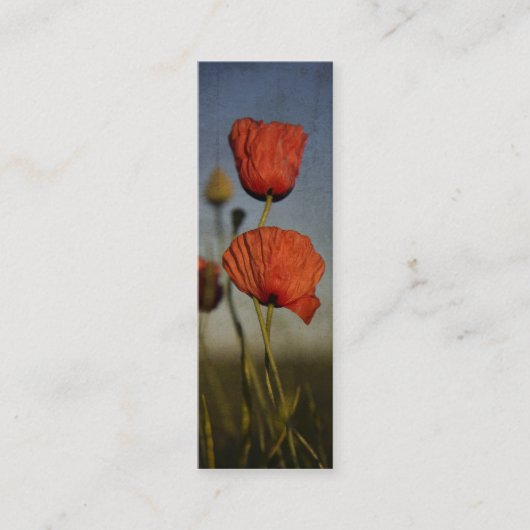 Mini Pavots rouges, carte de visite (Devant)