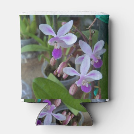 mini Phal-orchideeën Blikjeskoeler (Achterkant)
