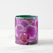 Mini Phalaenopsis Sogo Vivien Paarse orchideebloem Mok (Midden)