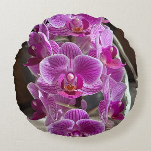 Mini Phalaenopsis Sogo Vivien Paarse orchideebloem Rond Kussen