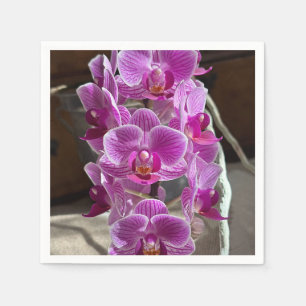 Mini Phalaenopsis Sogo Vivien Paarse orchideebloem Servet