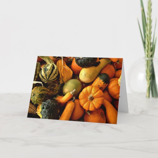 Mini pompoenen en kalebassen assortiment Herfst fo Kaart (Voorkant)