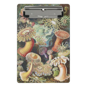Mini Porte-bloc Anémones de mer de Haeckel Collage d'art de vie na