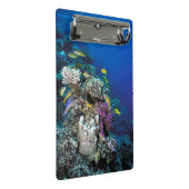 Mini Porte-bloc Around Small Coral (Incliné)