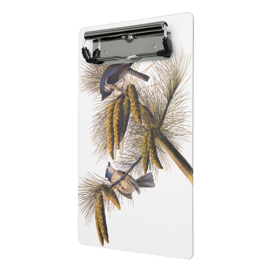 Mini Porte-bloc Audubon Crested Titmouse Birds in Pine Tree (Angle2)