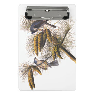 Mini Porte-bloc Audubon Crested Titmouse Birds in Pine Tree