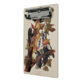 Mini Porte-bloc Audubon Peinture d'Oiseaux Pic Pilé (Angle2)