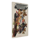 Mini Porte-bloc Audubon Peinture d'Oiseaux Pic Pilé (Incliné)