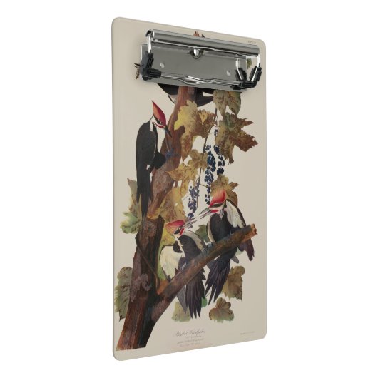 Mini Porte-bloc Audubon Peinture d'Oiseaux Pic Pilé (Incliné)