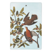 Mini Porte-bloc Audubon Zenaida Dove avec fleurs (Dos)