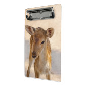 Mini Porte-bloc Baby Deer (Angle2)
