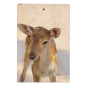 Mini Porte-bloc Baby Deer (Dos)
