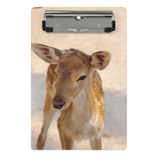 Mini Porte-bloc Baby Deer (Devant)