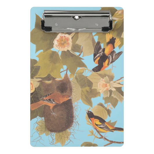 Mini Porte-bloc Baltimore Oriole Audubon Bird Family avec nid (Devant)