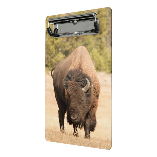 Mini Porte-bloc Bison (Angle2)