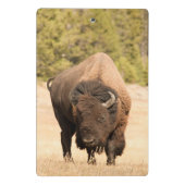 Mini Porte-bloc Bison (Dos)