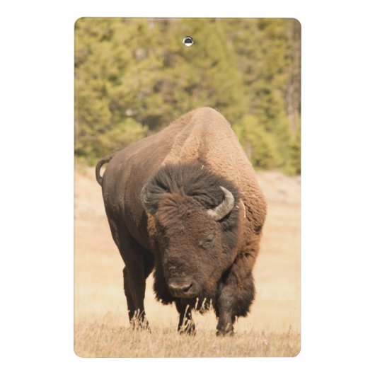 Mini Porte-bloc Bison (Dos)