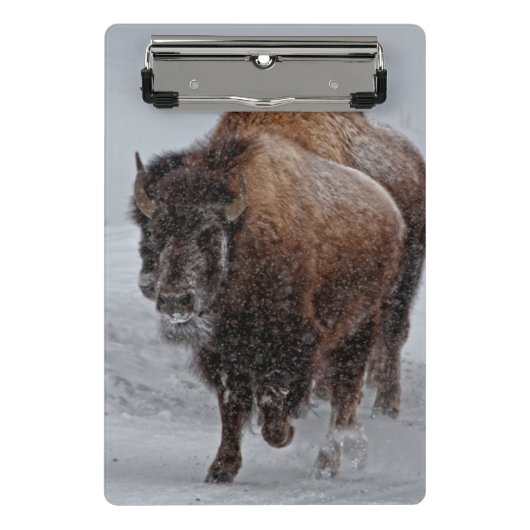 Mini Porte-bloc Bison de Yellowstone (Devant)