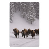 Mini Porte-bloc Bison en hiver (Dos)