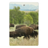 Mini Porte-bloc Bisons du Wyoming (Dos)