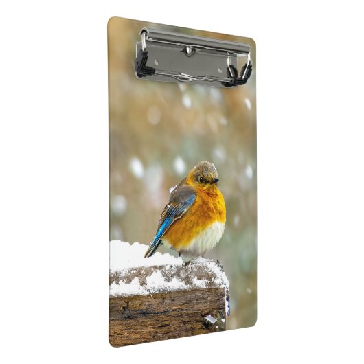 Mini Porte-bloc Bleuet de l'Est en neige - Photo originale (Incliné)