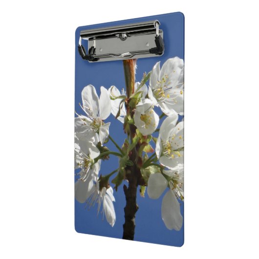 Mini Porte-bloc Blossom du printemps blanc (Angle2)