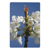 Mini Porte-bloc Blossom du printemps blanc (Dos)