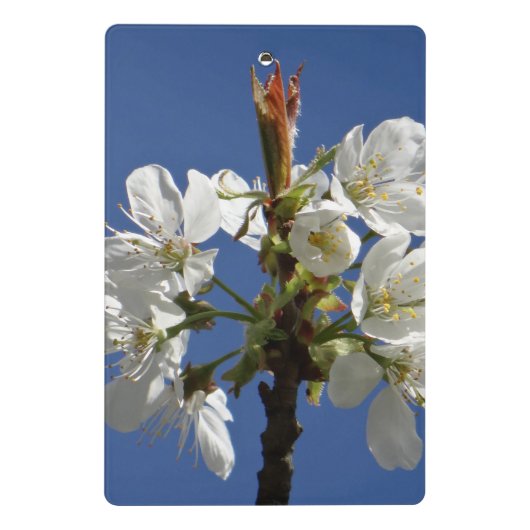 Mini Porte-bloc Blossom du printemps blanc (Dos)