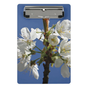 Mini Porte-bloc Blossom du printemps blanc