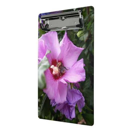 Mini Porte-bloc Bumblebebe sur la fleur d'Hibiscus (Angle2)