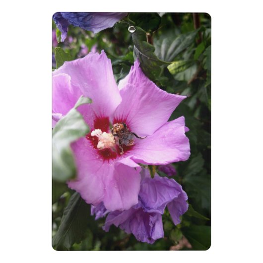 Mini Porte-bloc Bumblebebe sur la fleur d'Hibiscus (Dos)