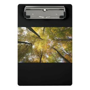 Mini Porte-bloc Canopée verdoyante
