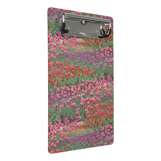 Mini Porte-bloc Champ De Tulipes (Incliné)