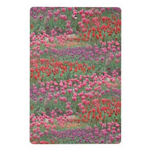 Mini Porte-bloc Champ De Tulipes (Dos)