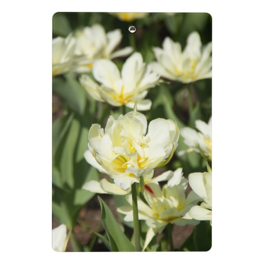 Mini Porte-bloc Champ de tulipes blanches (Dos)