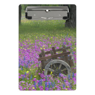 Mini Porte-bloc Chariot en bois dans un champ de Phlox, Bonnets bl