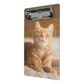 Mini Porte-bloc Chat somnolent des images | de Getty (Angle2)