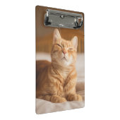 Mini Porte-bloc Chat somnolent des images | de Getty (Incliné)