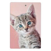 Mini Porte-bloc Chaton mignon avec les yeux bleus (Dos)