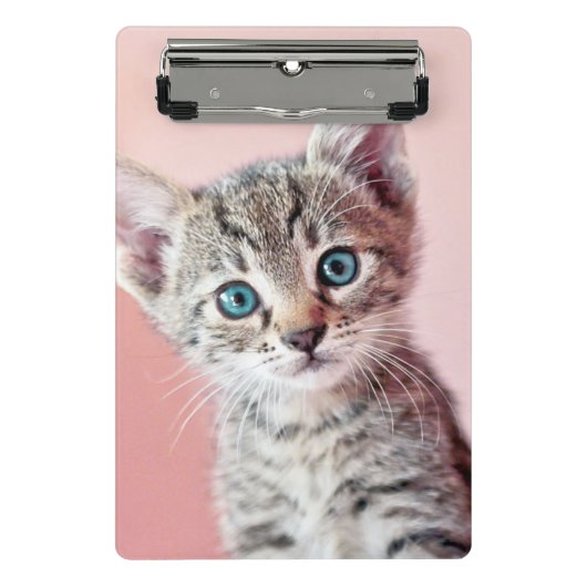 Mini Porte-bloc Chaton mignon avec les yeux bleus (Devant)