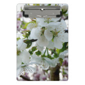 Mini Porte-bloc Cherry Blossom Mini Porte - bloc (Devant)
