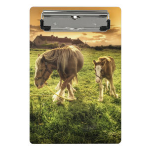 Mini Porte-bloc Cheval de mère et de poulain