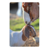 Mini Porte-bloc Chèvre et bébé de mère (Dos)