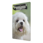 Mini Porte-bloc Chien maltais blanc (Angle2)