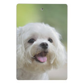 Mini Porte-bloc Chien maltais blanc (Dos)