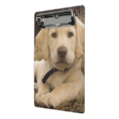Mini Porte-bloc chiot Labrador Retriever (Angle2)