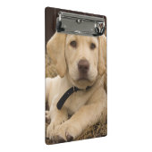 Mini Porte-bloc chiot Labrador Retriever (Incliné)