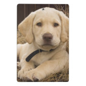 Mini Porte-bloc chiot Labrador Retriever (Dos)