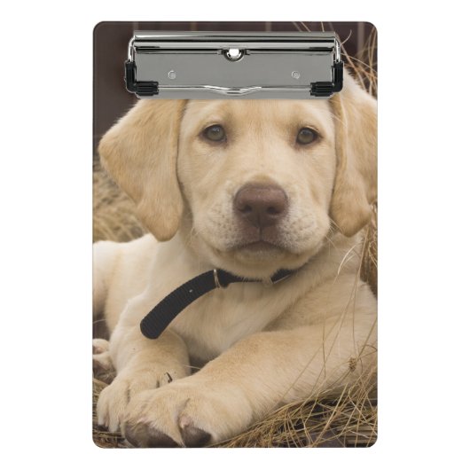 Mini Porte-bloc chiot Labrador Retriever (Devant)
